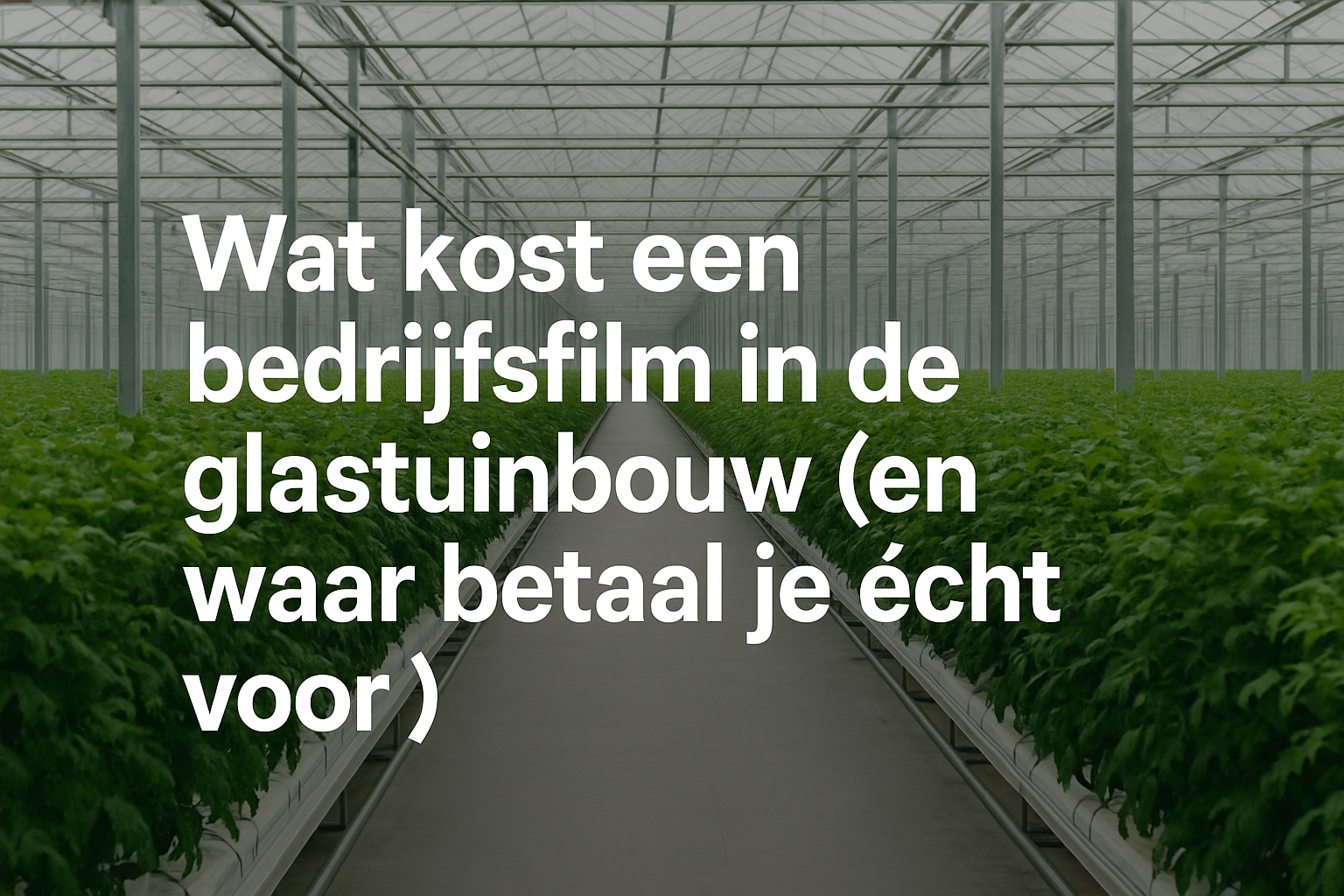 Videoproductie glastuinbouw in een moderne kas met lange rijen planten en high-tech infrastructuur